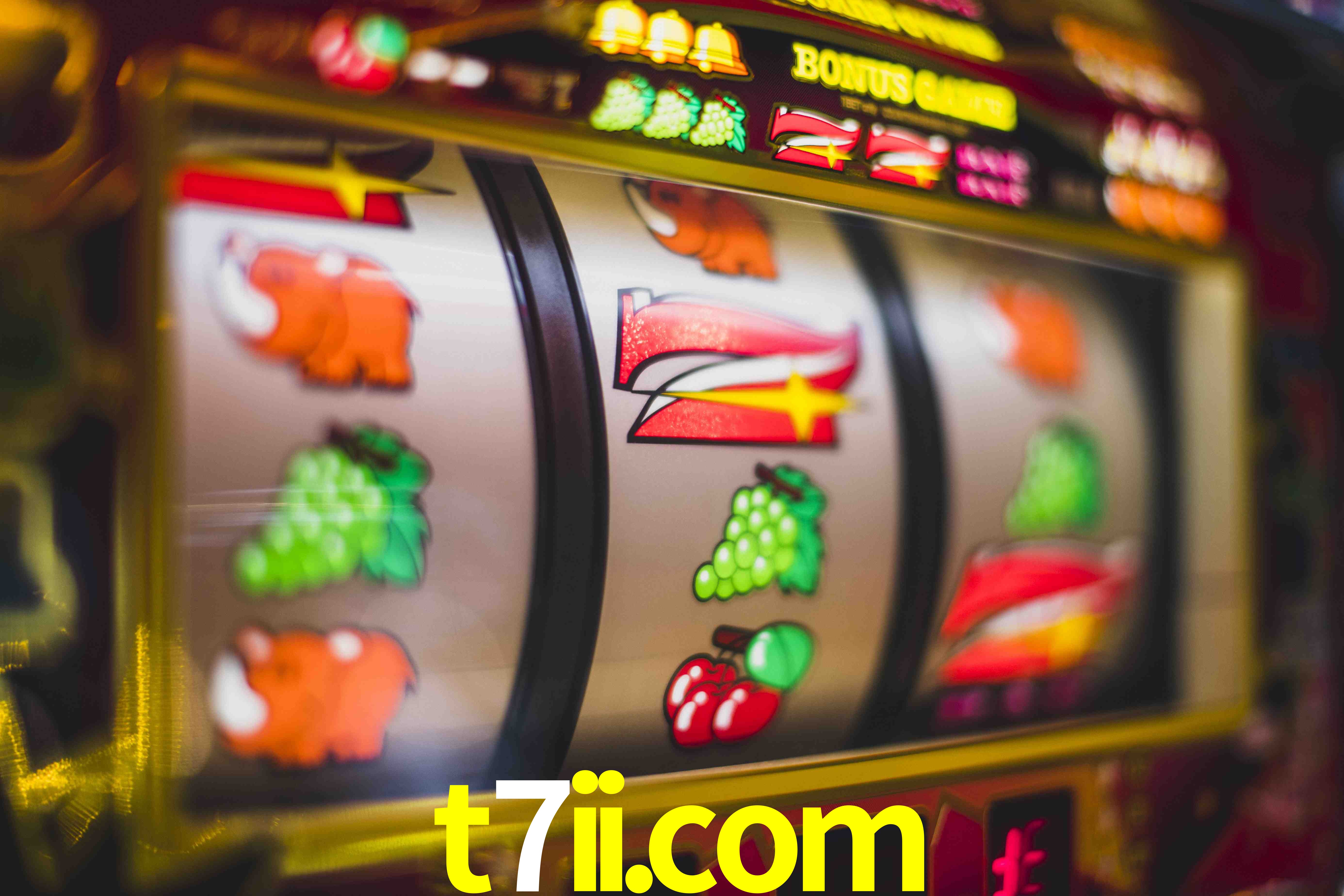Live Casino t7ii.com